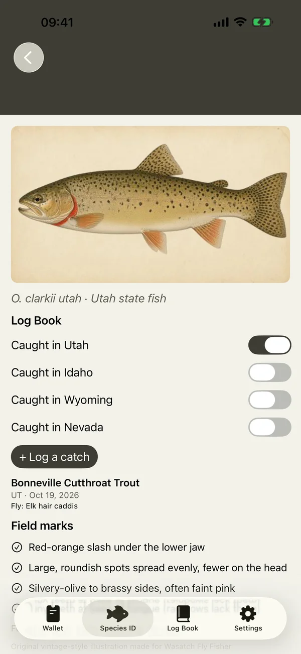 Bonneville cutthroat trout species card